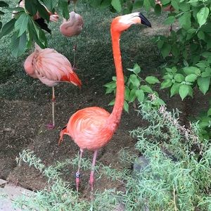 Meet your Posher, Prabhjit